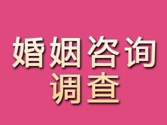 铜川婚姻咨询调查